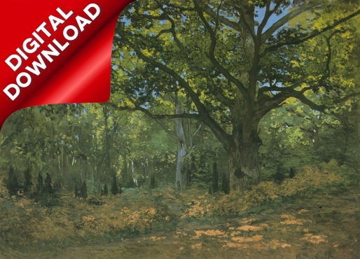 Monet, Claude (1840-1926) - Bodmer Oak at Bas-Breau 1865