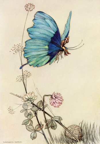 Warwick Goble - The Butterfly Took Wing